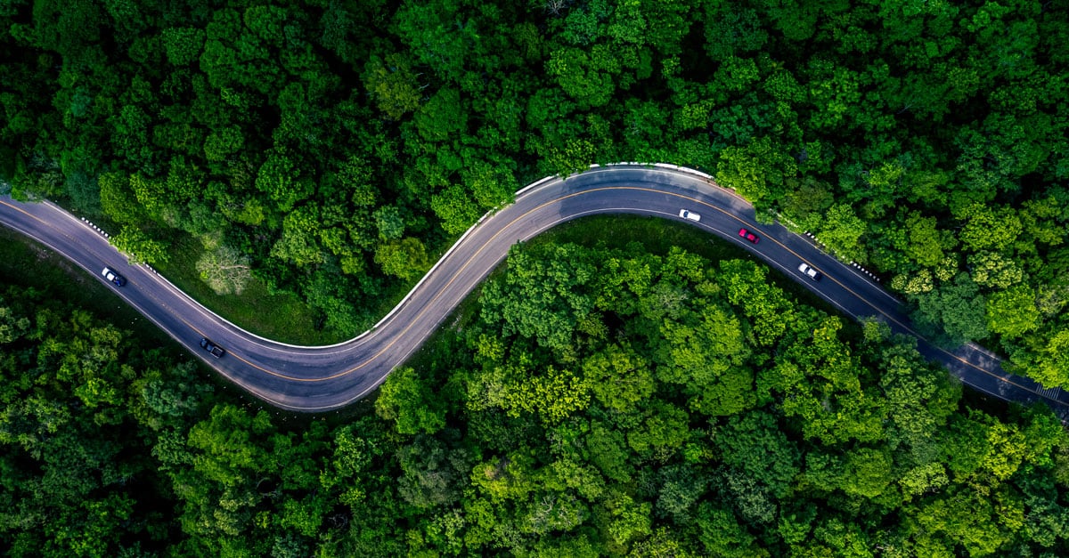 Luftaufnahme einer kurvenreichen Straße, die sich durch einen dichten Wald mit lebhaft grünen Bäumen schlängelt und ein Gefühl von Ruhe und natürlicher Schönheit vermittelt.