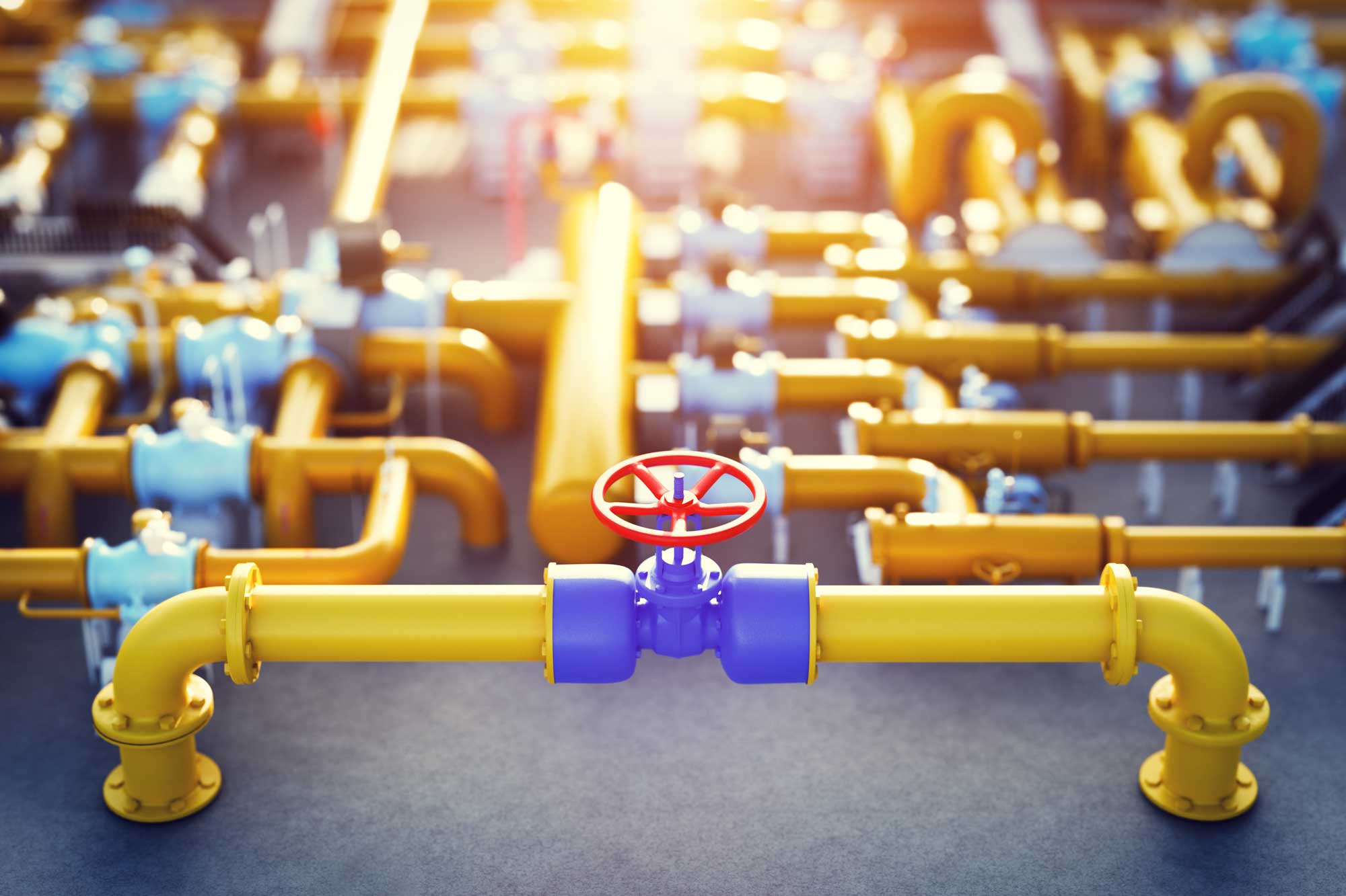 A network of yellow pipelines with blue valves.